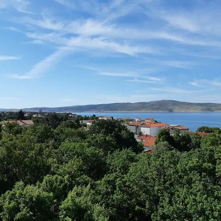 Vukelic Daire *