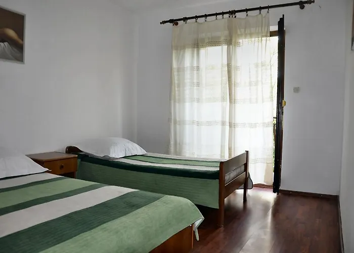 Vukelic * 斯塔利格拉德-帕克利尼卡